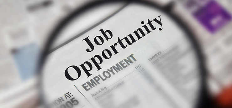 Image result for job opportunity