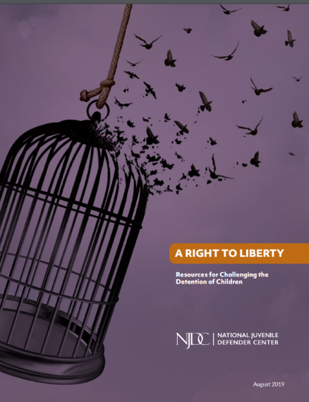 njdc right to liberty (2)