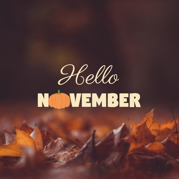 Week in Review: Nov 2-6
